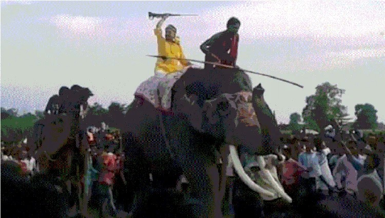 यह विधायक हर साल गजराज पर बैठकर करता है हवाई फायरिंग,क्यों?