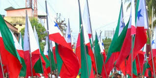 क्या है PFI जैसे संगठनों का इतिहास ?