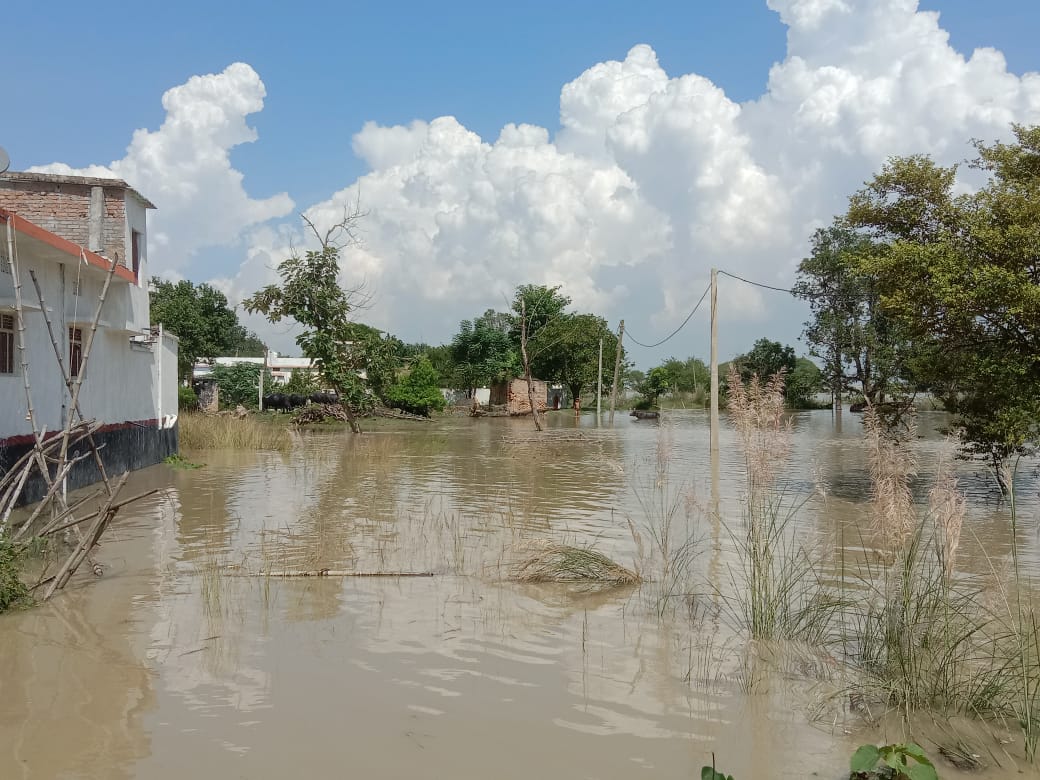 सारण के पानापुर में असमय आयी बाढ़ से लाखों का नुकसान