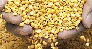 जलवायु परिवर्तन का प्रभाव और खाद्य सुरक्षा