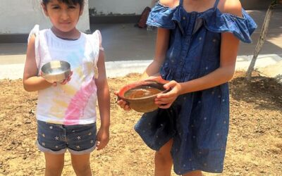 प्रेरणा वृद्धाश्रम में भीषण गर्मी के चलते नन्हे नन्हे बच्चे प्रतिदिन कर रहे हैं पक्षियों के लिए पानी और दाने का इंतजाम।