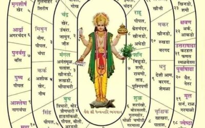 कितनी महान है हमारी संस्कृति! नमन है हमारे ऋषि मुनियों को