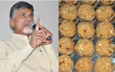 प्रयोगशाला प्रतिवेदन आने के बाद फूटा CM नायडू का गुस्सा