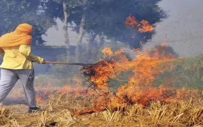 पराली जलने से रोकने को तैनात की गईं 26 केंद्रीय टीम