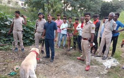 सिधवलिया की खबरें : आंगन में सोई नौ माह की बच्ची को जंगली जानवर लेकर भागा, जांच में जुटी पुलिस
