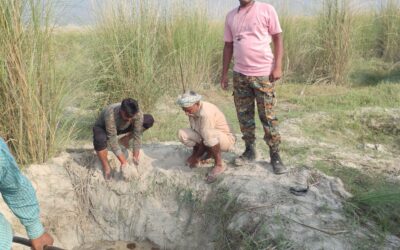 सिसवन की खबरें : पुलिस ने दियारा में छापेमारी कर चार अवैध शराब भट्ठियों को ध्वस्त किया