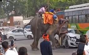 छपरा के एकमा में बीच सड़क पर गुस्साए हाथी ने खिलौने की तरह पलटी कार, जान बचाकर भागा कार सवार