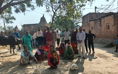 Siswan: कचनार गांव से तीन भैंसे हुई चोरी