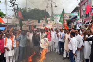 सीवान भाजपा ने राहुल गांधी का पुतला दहन किया