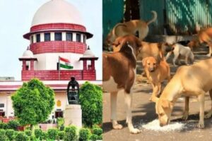 सुप्रीम कोर्ट ने आवारा कुत्तों को शेल्टर्स में भेजने वाला अपना आदेश बदला